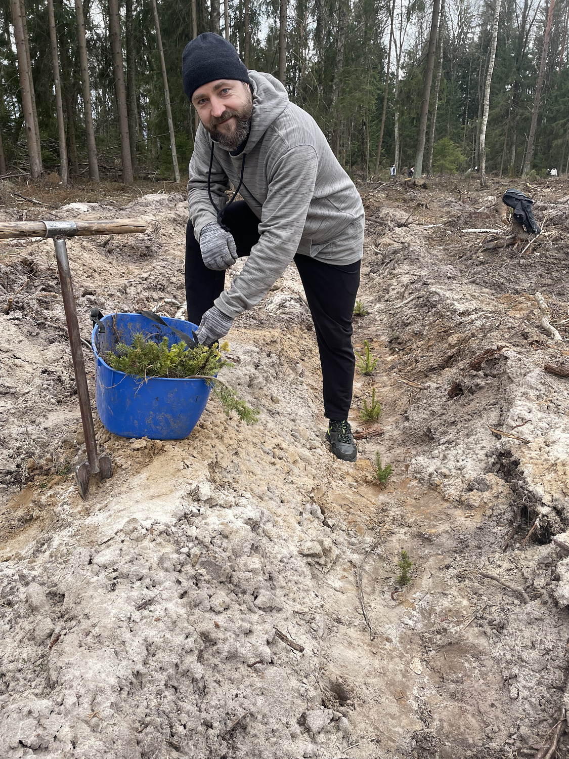 Дай лесу новае жыццё