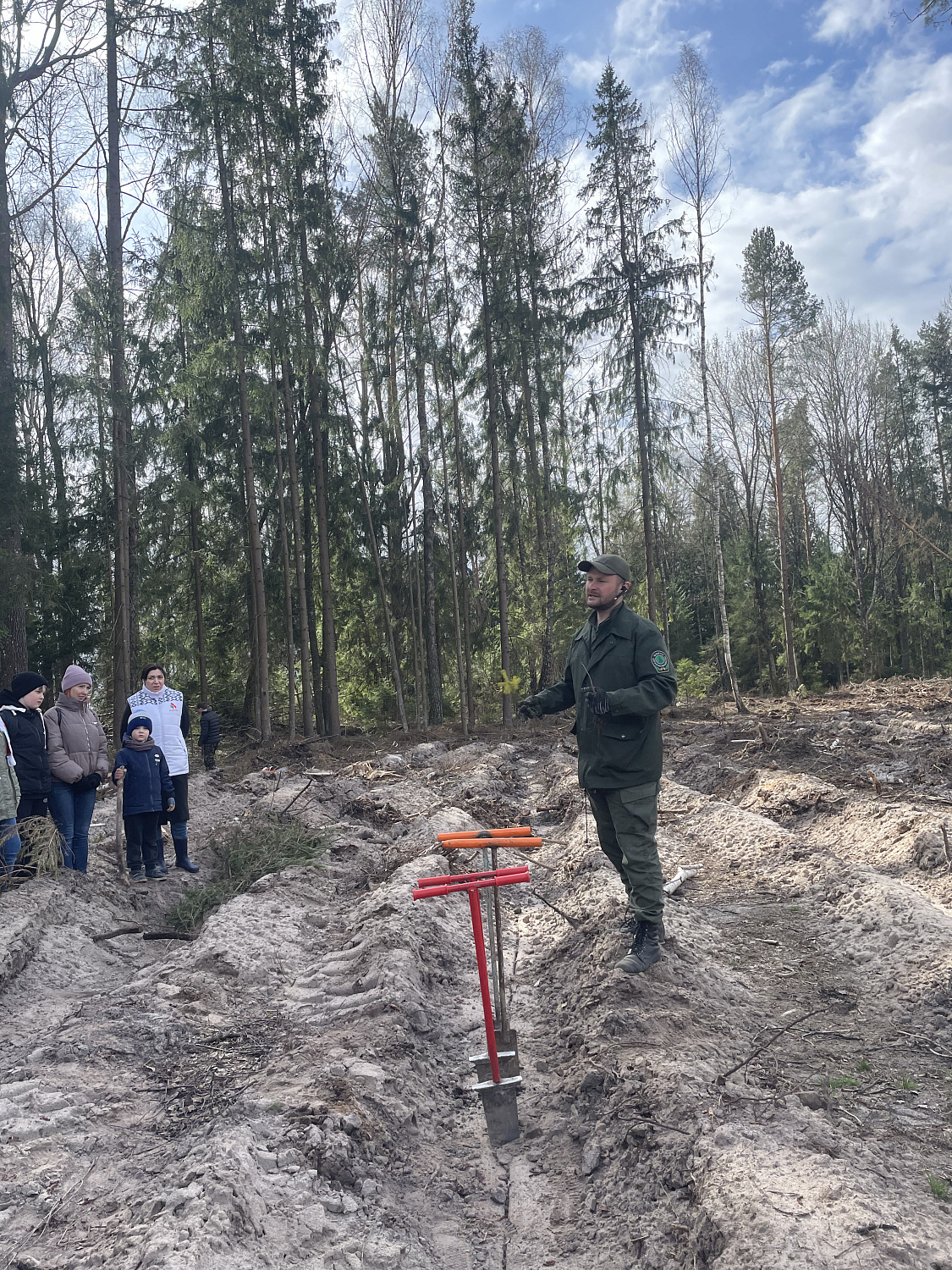 Дай лесу новае жыццё